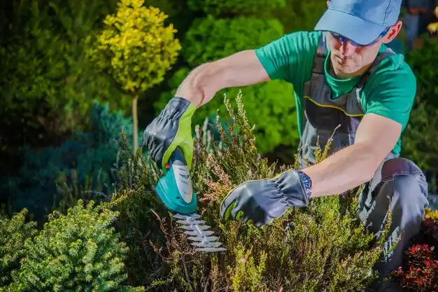 landscaping services Orwell